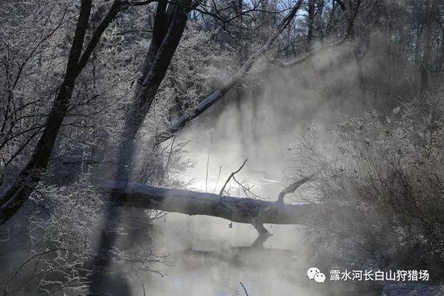 尽在英雄联盟手游公测后,怎么修改游戏昵称?,发现更多问答交流乐趣